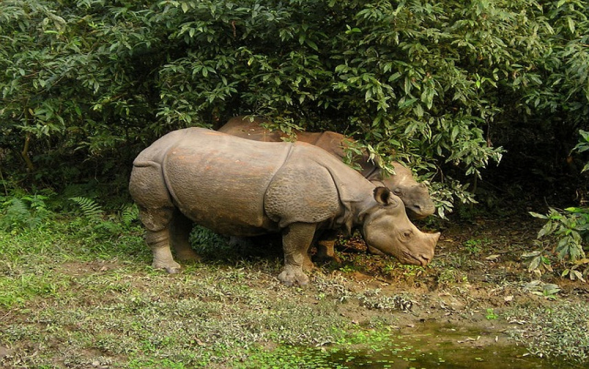 tour-image